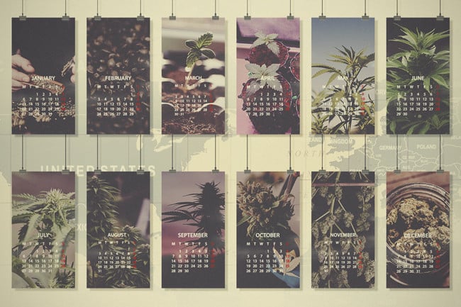 Guía mensual de cultivo de cannabis: Norte de Europa, de EE.UU. y Canadá