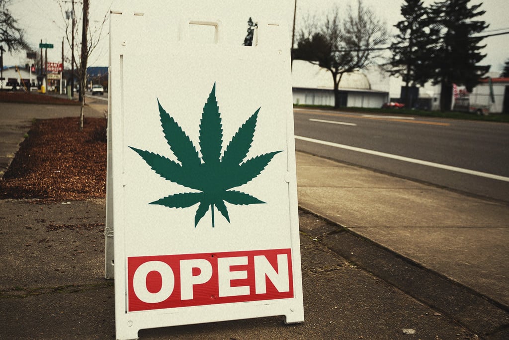 ¿Cómo se consigue una licencia para cultivar y vender cannabis?