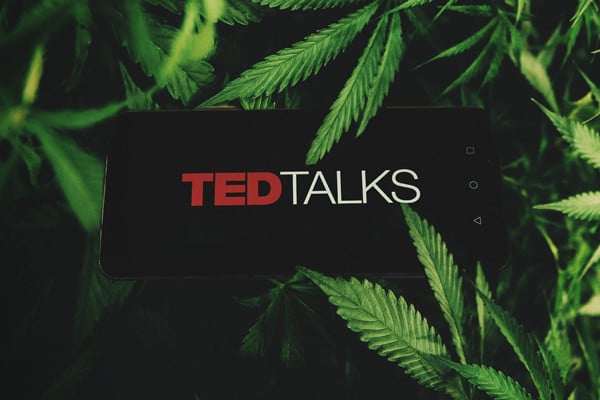 Las mejores charlas TED sobre cannabis