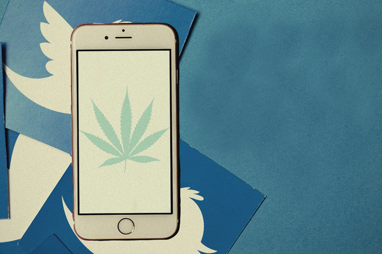 10 cuentas de Twitter sobre cannabis que debes seguir