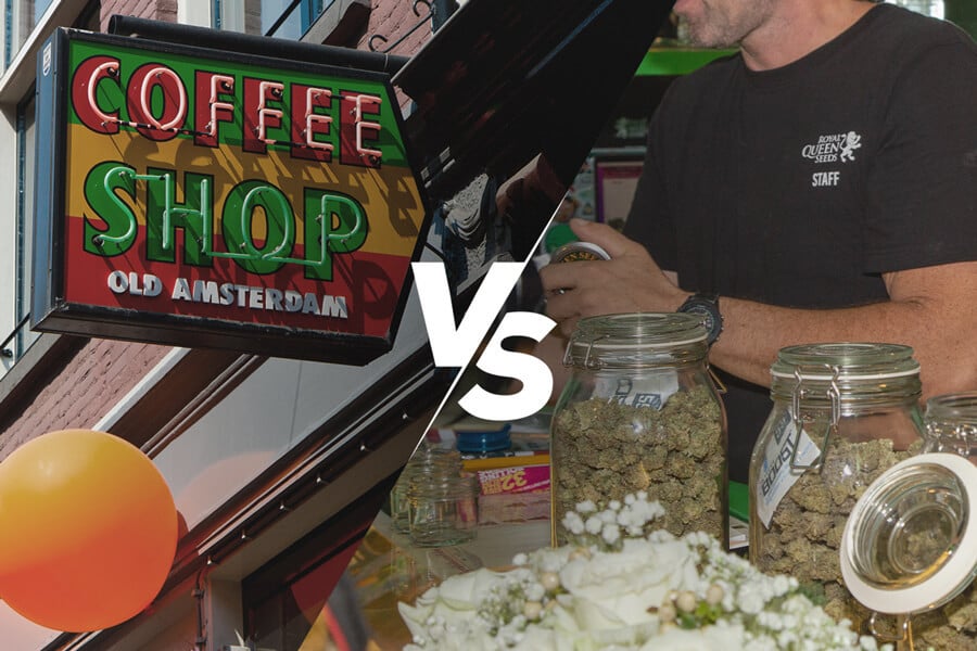 ¿En qué se diferencian un coffeeshop y un dispensario de marihuana?