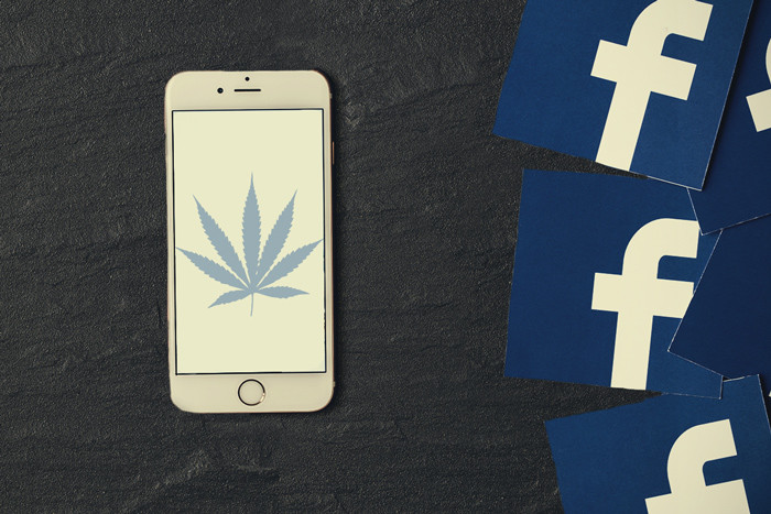 7 páginas de Facebook sobre marihuana que deberías empezar a seguir ya