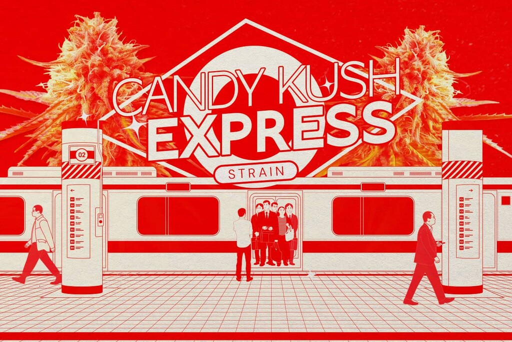 Variedad Candy Kush: Dulce, relajante y potente