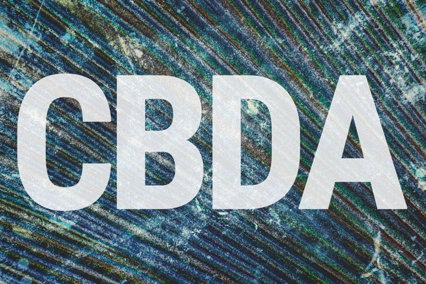 CBDA: un nuevo ácido cannabinoide