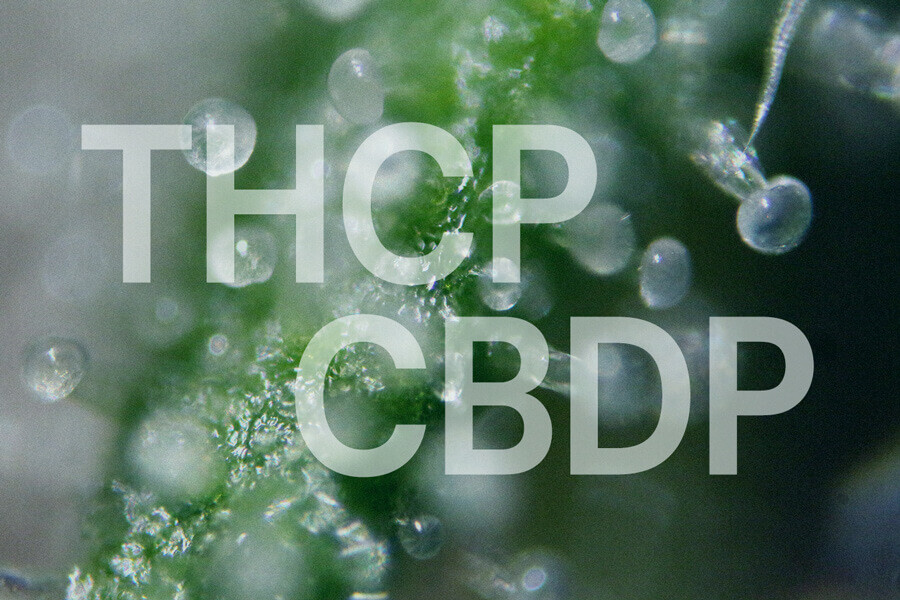 THCP y CBDP: Guía completa sobre dos nuevos cannabinoides