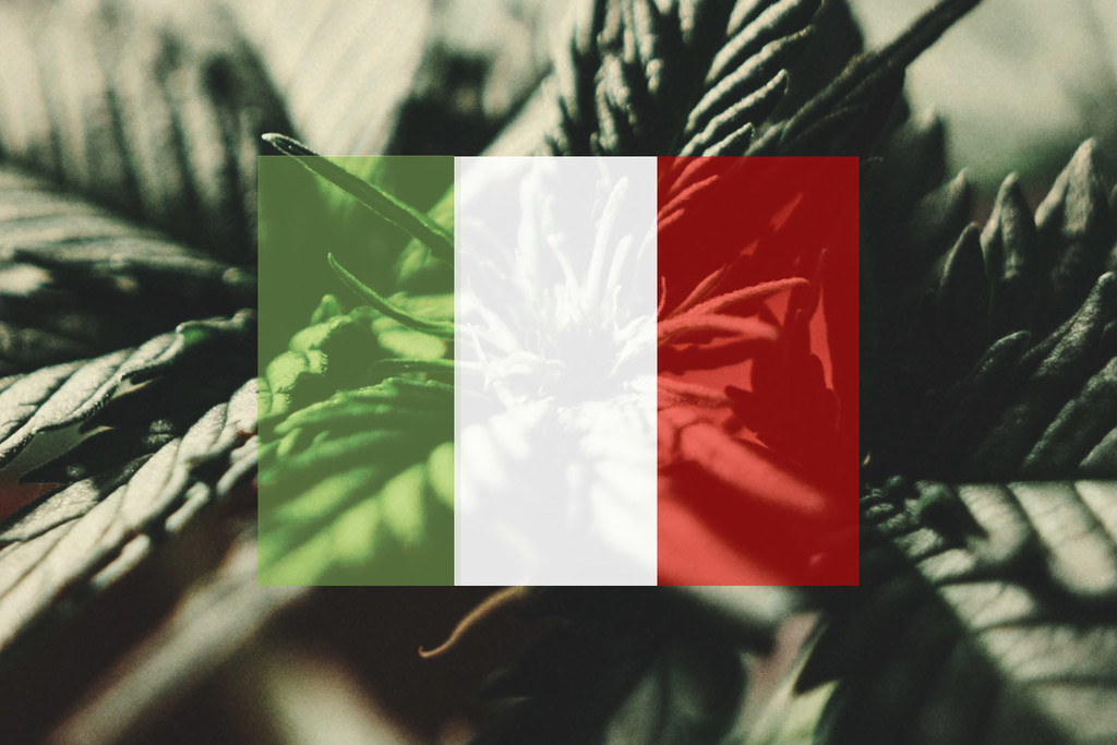 Cómo cultivar marihuana en exterior en Italia: mes a mes