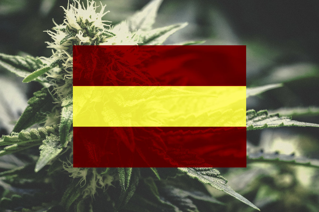 Cultivar marihuana en España | Guía mes a mes en 2026