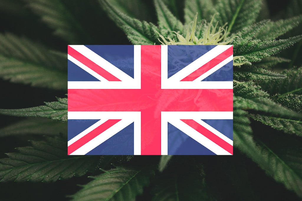 Cultivar marihuana en exterior en el Reino Unido: guía mes a mes