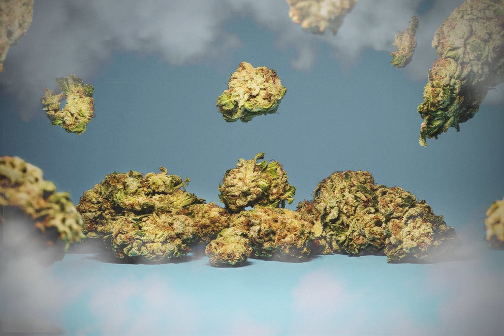 ¿Es possible tener una sobredosis de Cannabis?