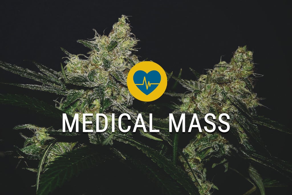 Medical Mass: disfruta todo lo que ofrece el cannabis