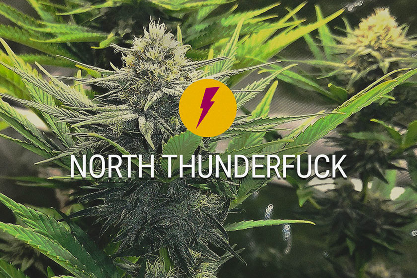 North Thunderfuck: Una nueva versión mejorada de la MTF
