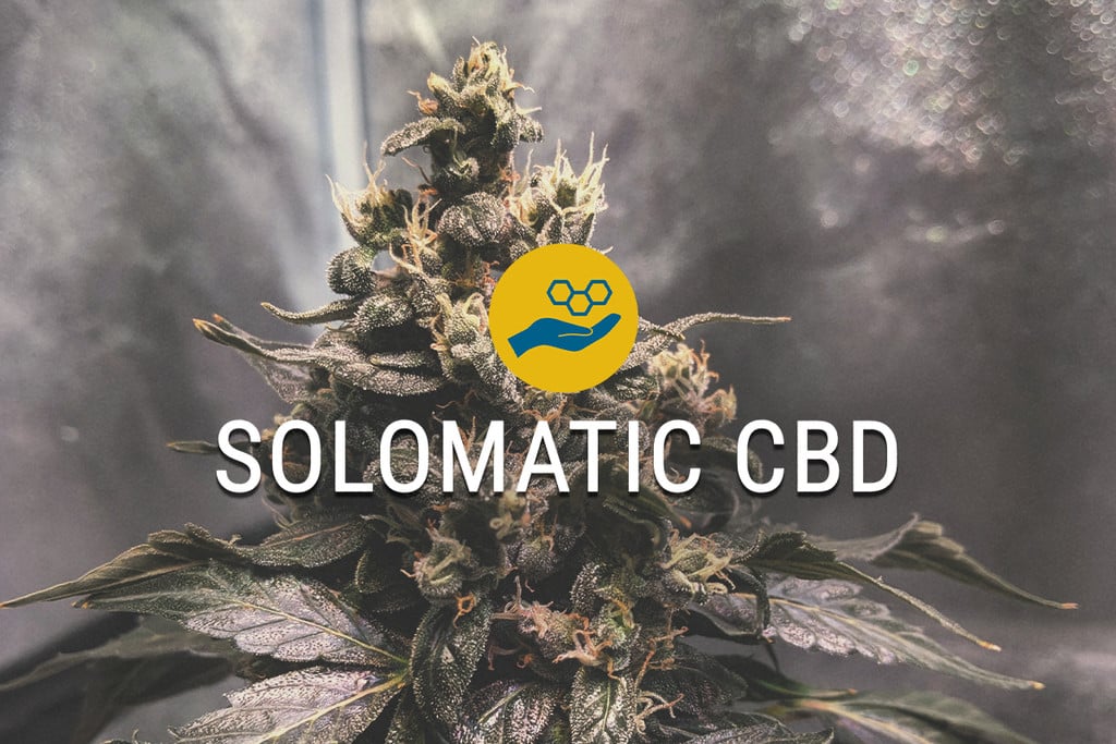 Semillas de marihuana medicinal Solomatic CBD
