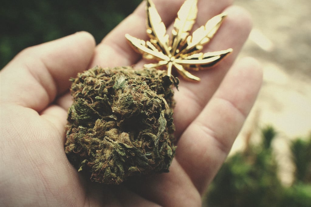 ¿Qué se considera marihuana rica en THC?
