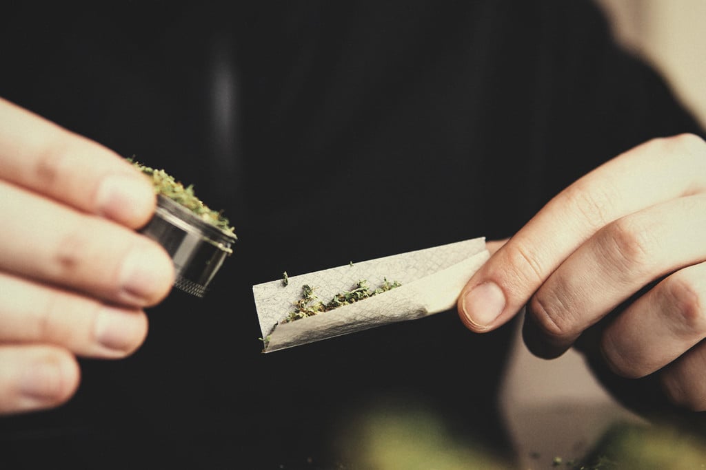 Principales errores a evitar en torno a la marihuana