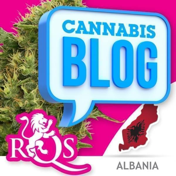 El cannabis en Albania