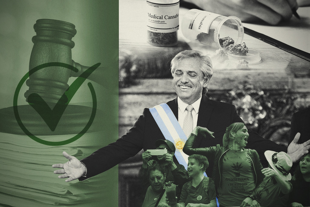 El cannabis en Argentina