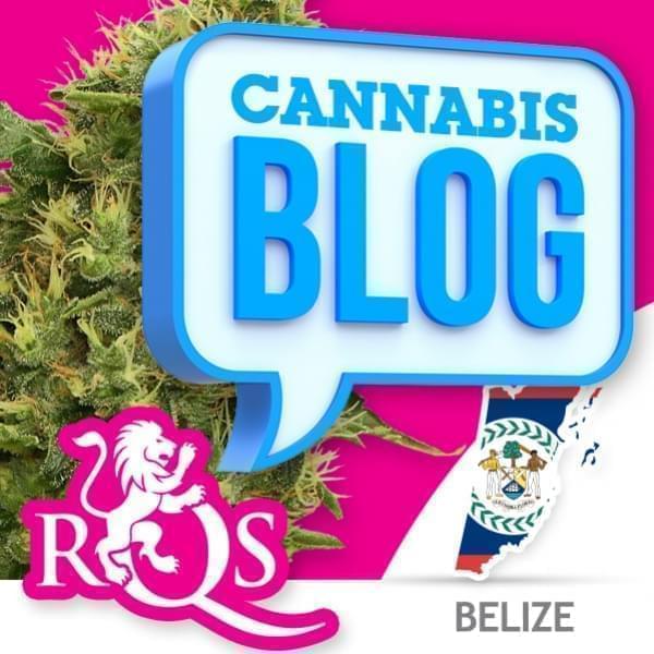 El cannabis en Belice