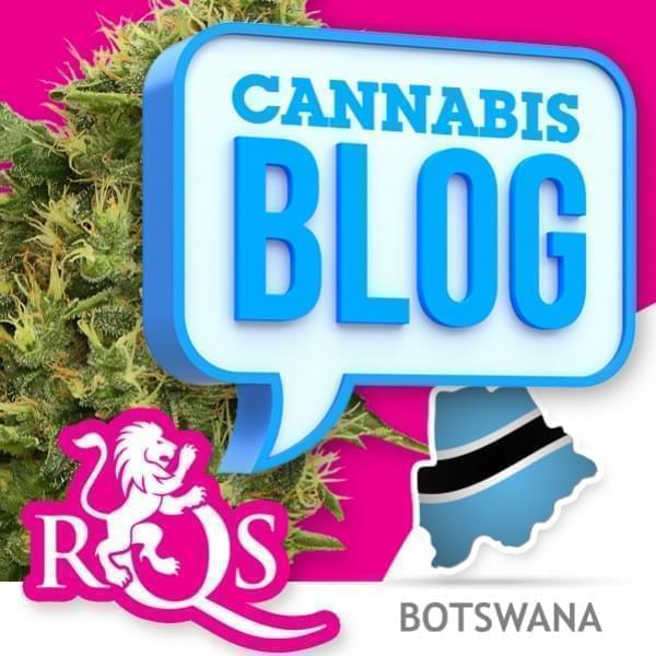 El cannabis en Botsuana