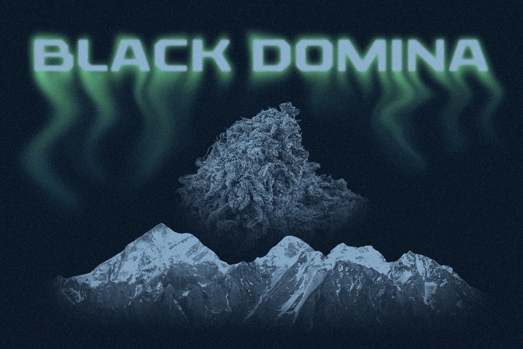 Black Domina: descendiente de la realeza índica