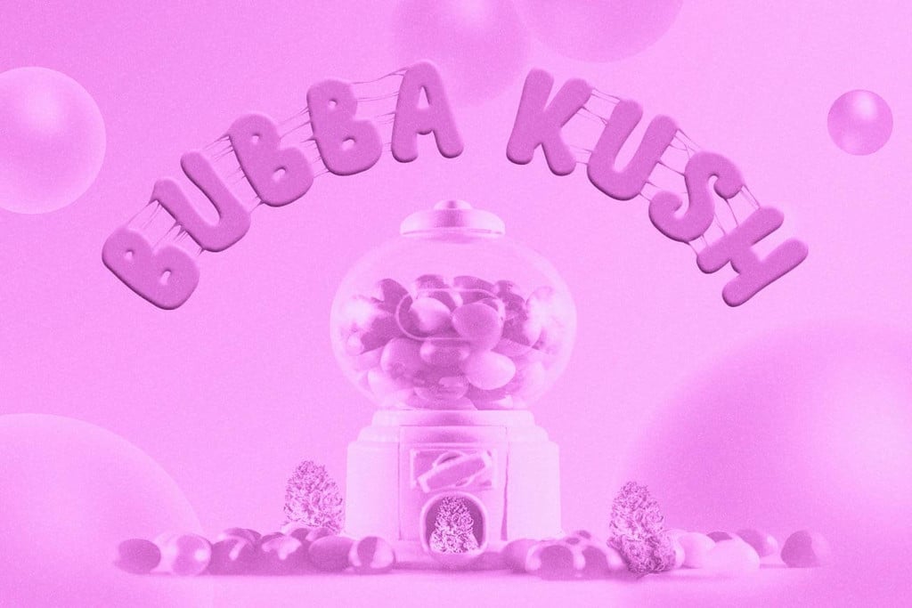 Bubba Kush: un híbrido índica legendario 