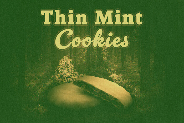Thin Mint Cookies: Una GSC estelar