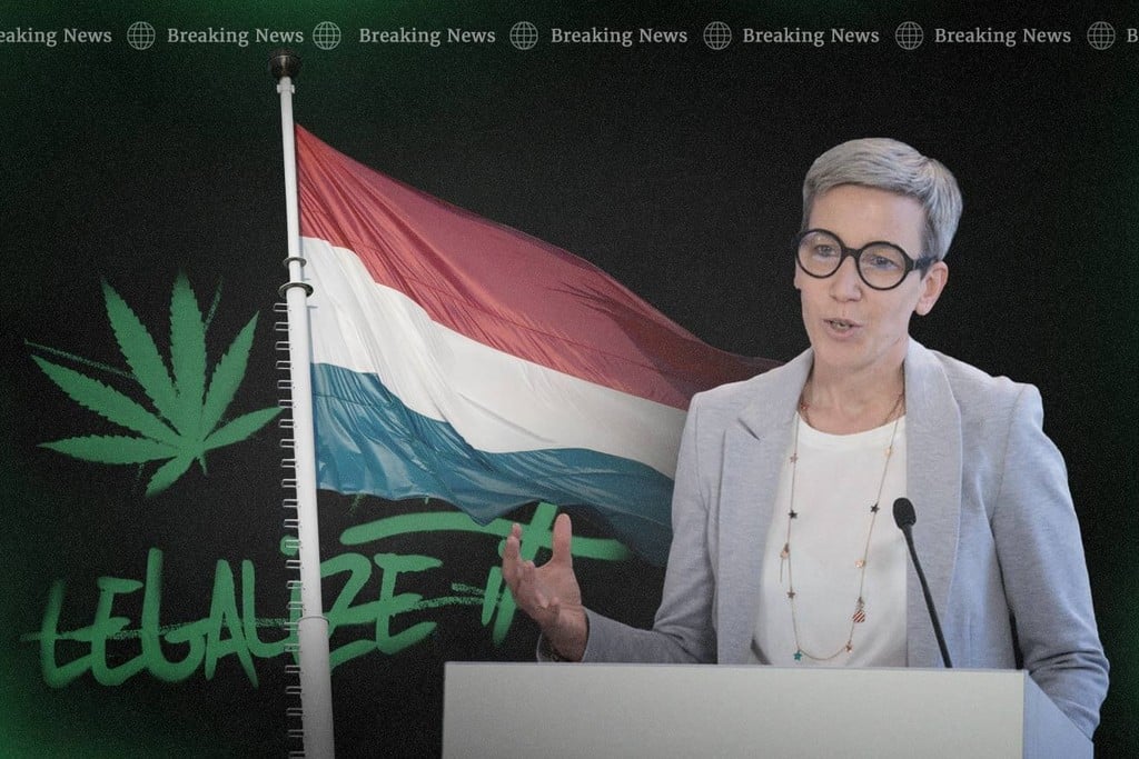 Reforma de la marihuana: Luxemburgo legaliza el cultivo casero