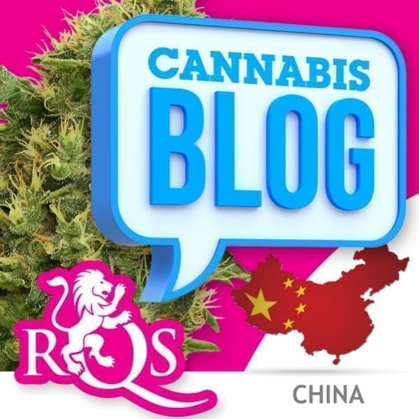 El cannabis en China
