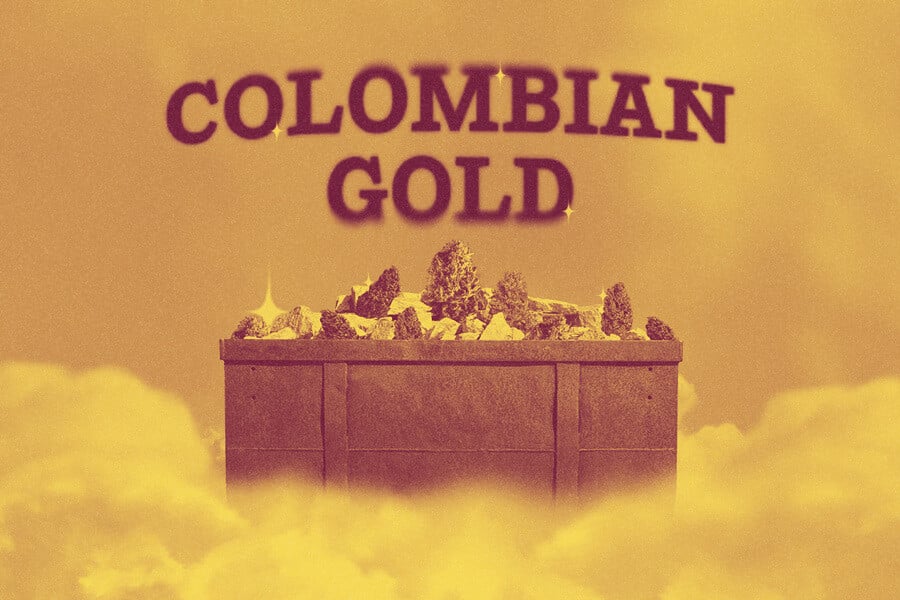 Colombian Gold: el estándar de oro de la marihuana landrace