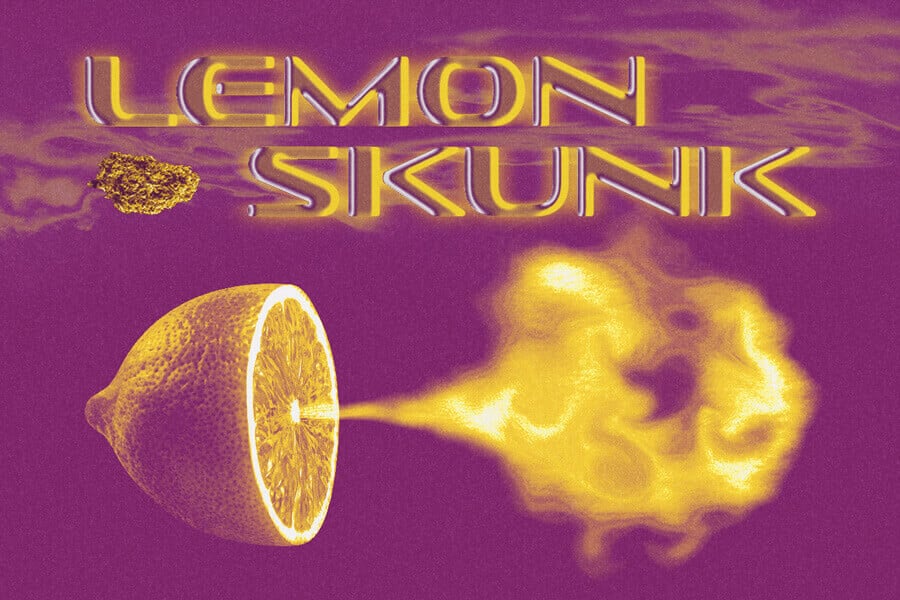 Lemon Skunk: Una bomba cítrica super relajante