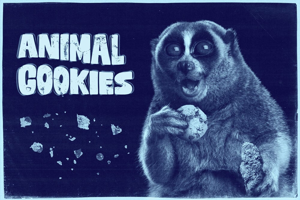 Variedad Animal Cookies: uno de los híbridos más sabrosos