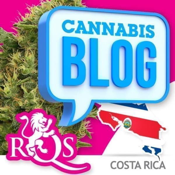 Cannabis en Costa Rica