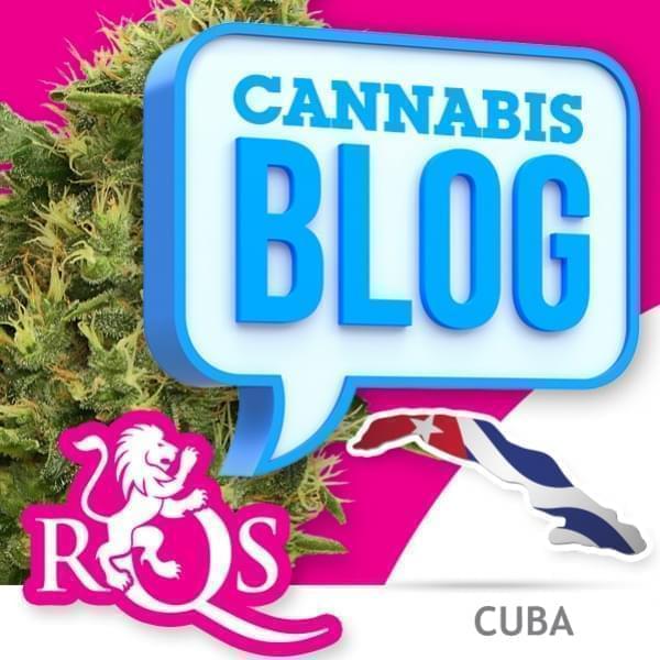 El cannabis en Cuba