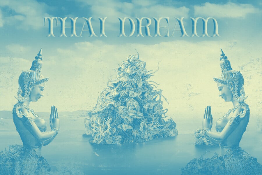 Thai Dream: Disfruta de un subidón lúcido