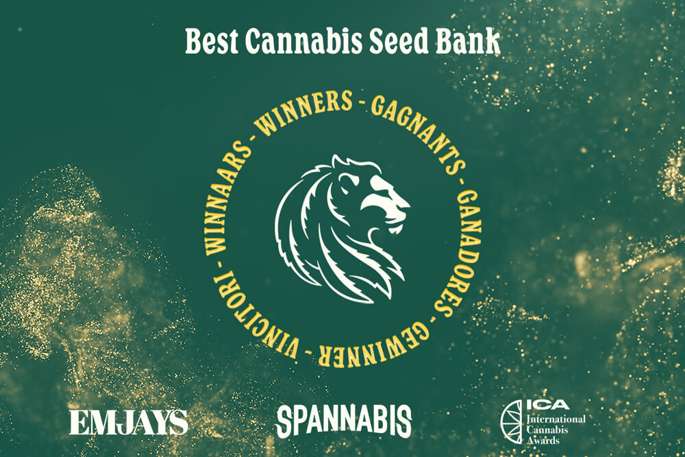 RQS gana el premio al Mejor Banco de Semillas en Spannabis, ICA y EMJAYS