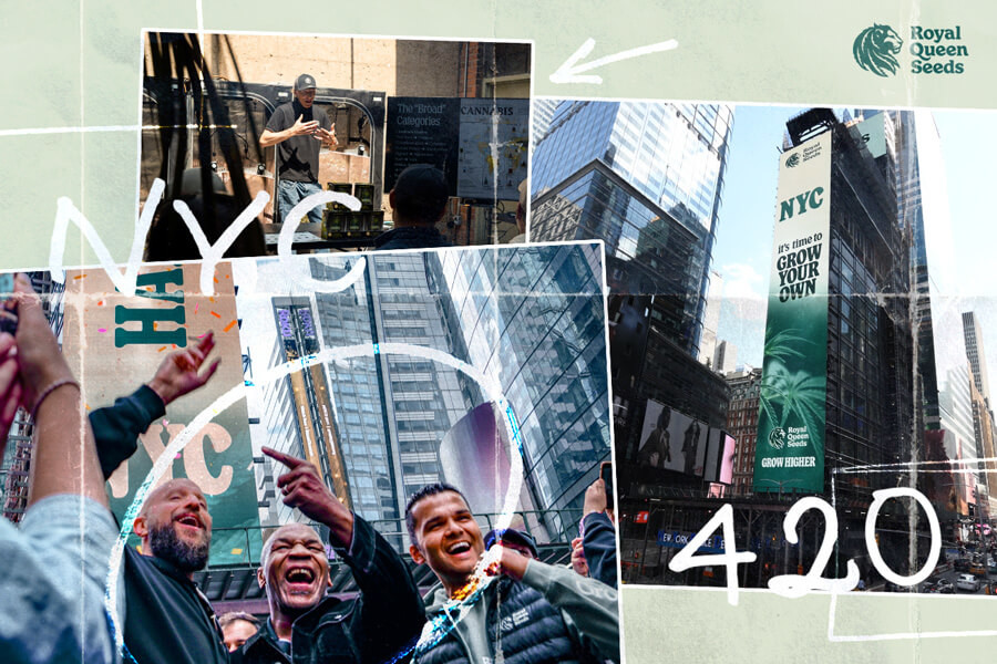 Celebrando el 420 con Mike Tyson: ¡Una locura de RQS!