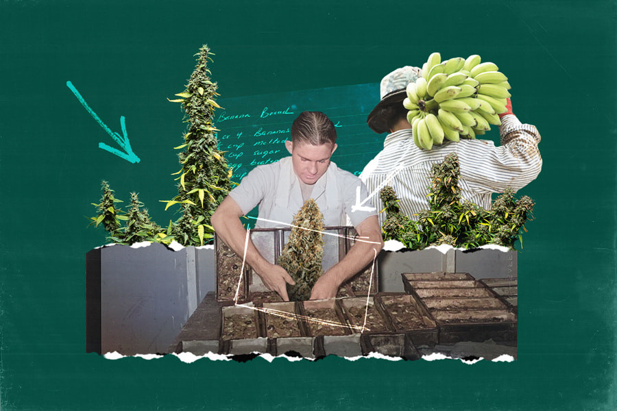 Cómo hacer bizcocho de plátano con marihuana