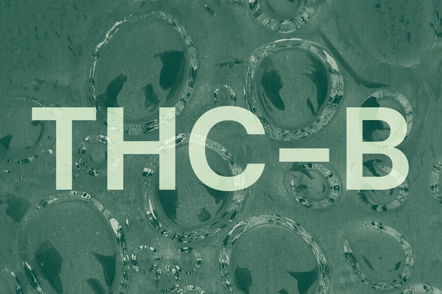 Lo que necesitas saber sobre el THCB