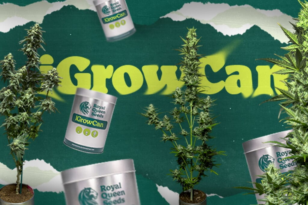 Descubre iGrowcan: La forma más fácil de cultivar hierba por primera vez