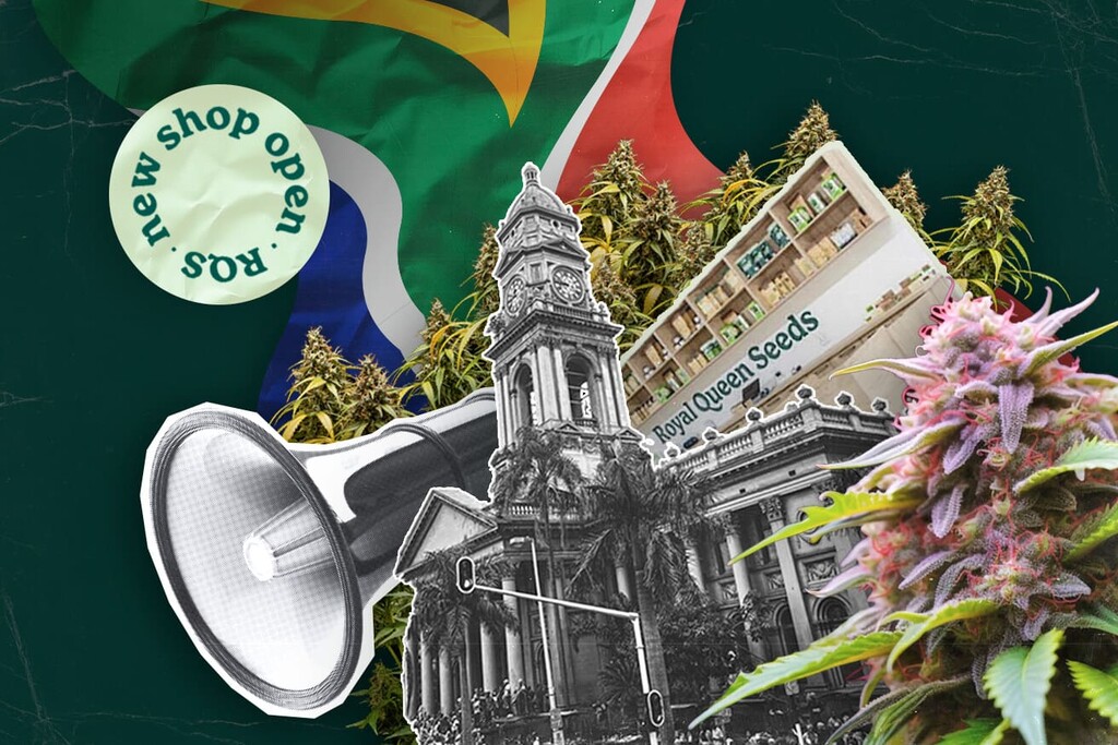 Royal Queen Seeds abre su primera tienda en Durban, llevando sus semillas de marihuana premium a Sudáfrica