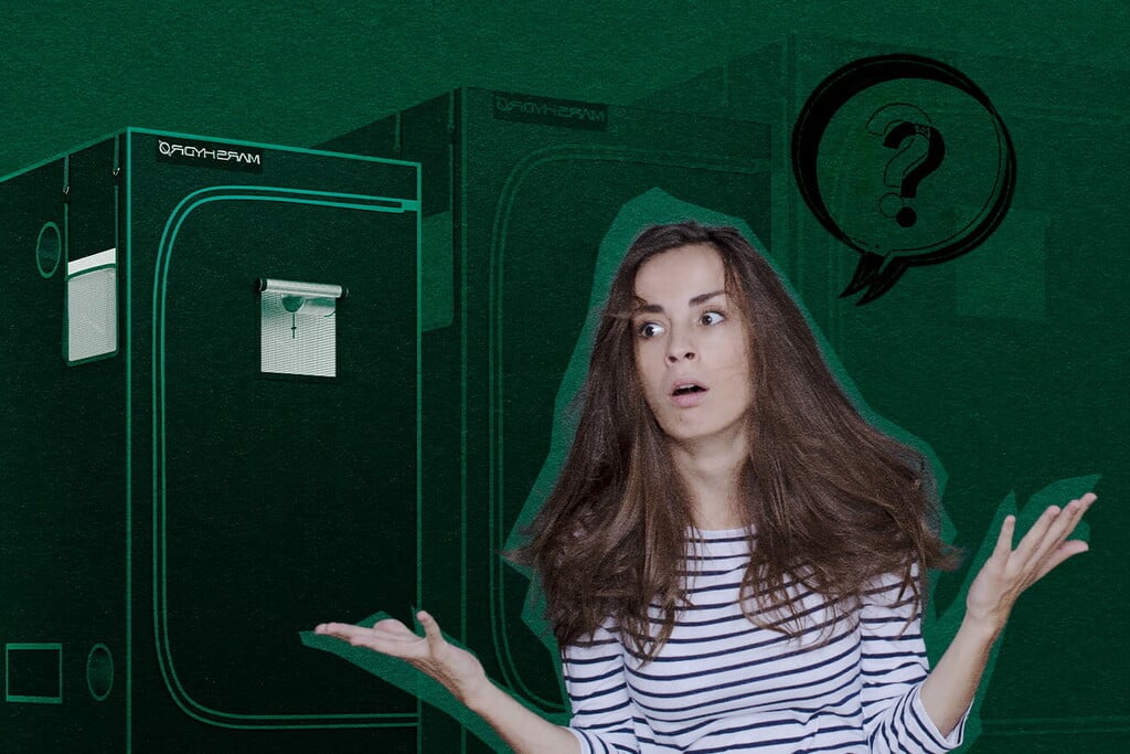 ¿Qué hace falta para cultivar en armario?