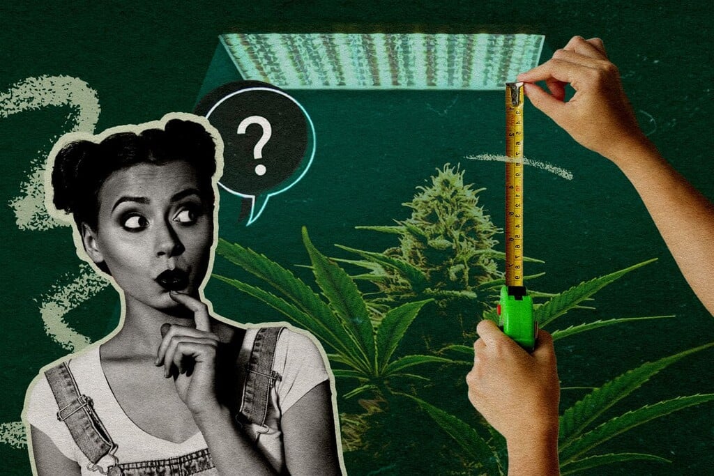 Distancia de las luces de cultivo LED: ¿A qué altura deben estar en cada etapa? 