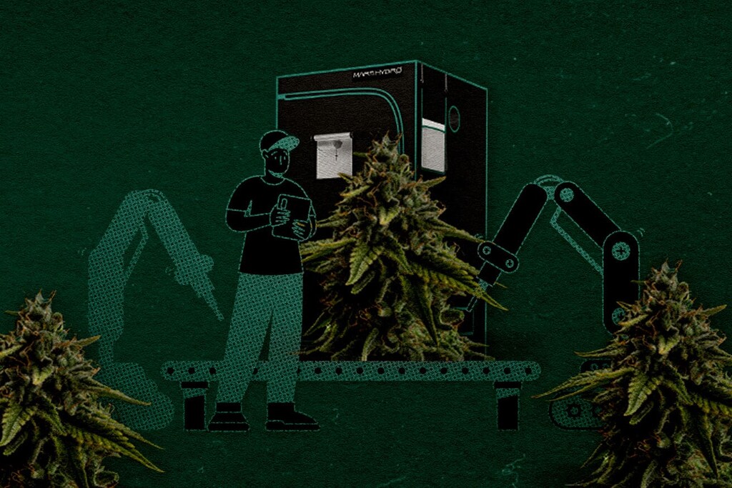 Instalación de un armario de cultivo de 120x120cm: Número de plantas y cómo maximizar la producción