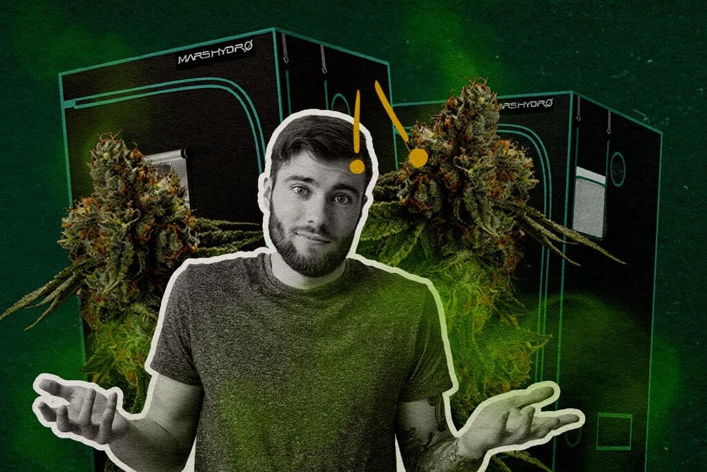 ¿Los armarios de cultivo aíslan de los olores? Todo lo que debes saber al respecto