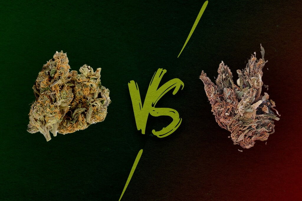 Marihuana de alta calidad y baja calidad: ¿Qué aspecto tiene?