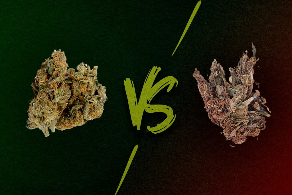 Marihuana de alta calidad y baja calidad: ¿Qué aspecto tiene?