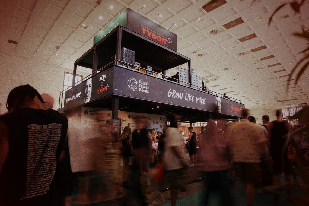 Mike Tyson y RQS en Mary Jane 2025 - Un encuentro mítico