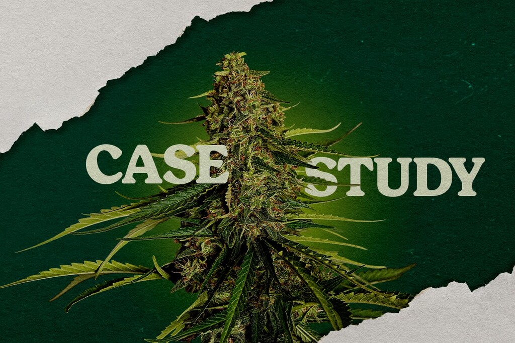 Estudio de caso Gaia F1: ensayo de cultivo en coco vs. lana de roca