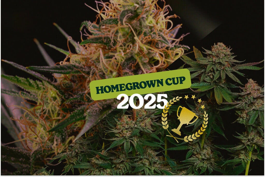 Doble podio de Royal Queen Seeds en la HomeGrown Cup 2025