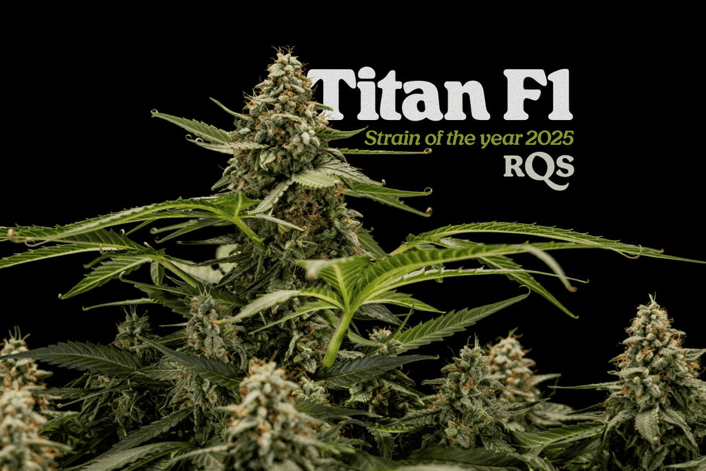 La strain del año 2025: Titan F1