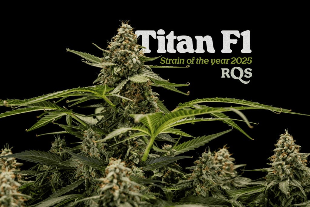 La strain del año 2025: Titan F1